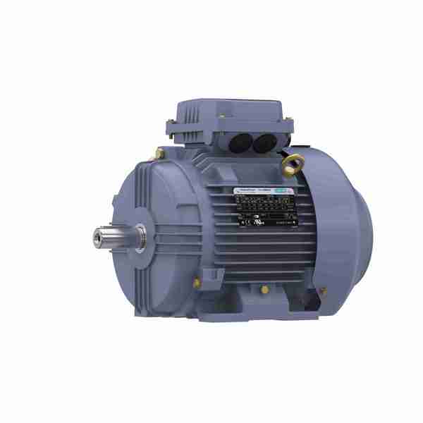 Marathon Motor R323B, 2.2KW-3HP, 1200, TEFC, 112M, 3/60/230/460 R323B